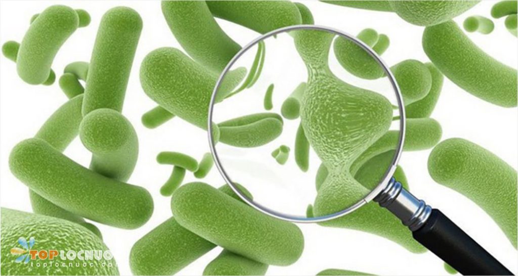 Cách loại bỏ nguy cơ gây bệnh từ vi sinh vật bằng Máy lọc nước