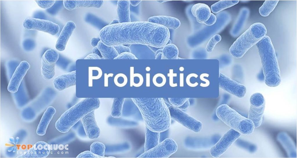 8 Loại thức uống lợi khuẩn quen thuộc tốt cho sức khỏe đường ruột