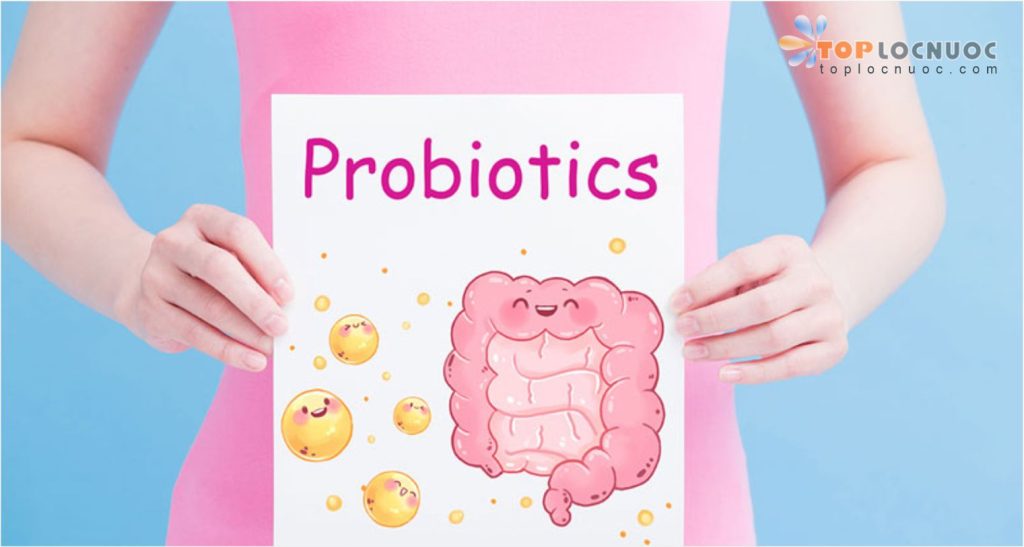 10 Lợi ích khi uống Probiotics giúp nâng cao sức khỏe cả gia đình