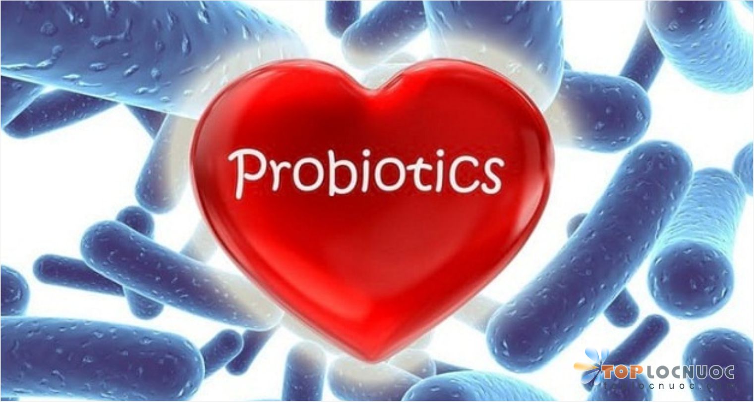 Bổ sung Probiotics đúng cách để tiêu hóa tốt, đường ruột khỏe mạnh