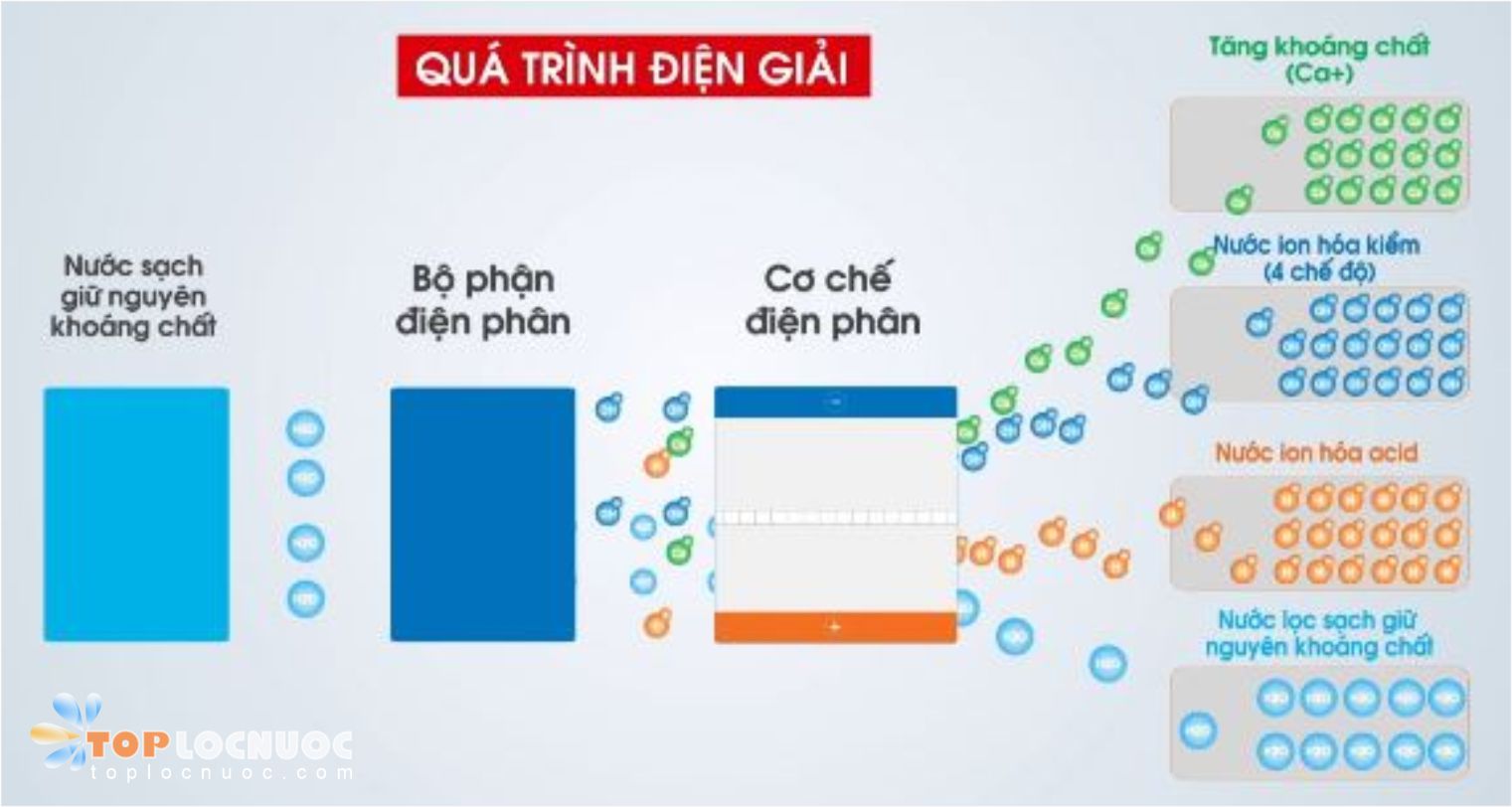 Không phải ai cũng biết uống nước điện giải có lợi ích gì?