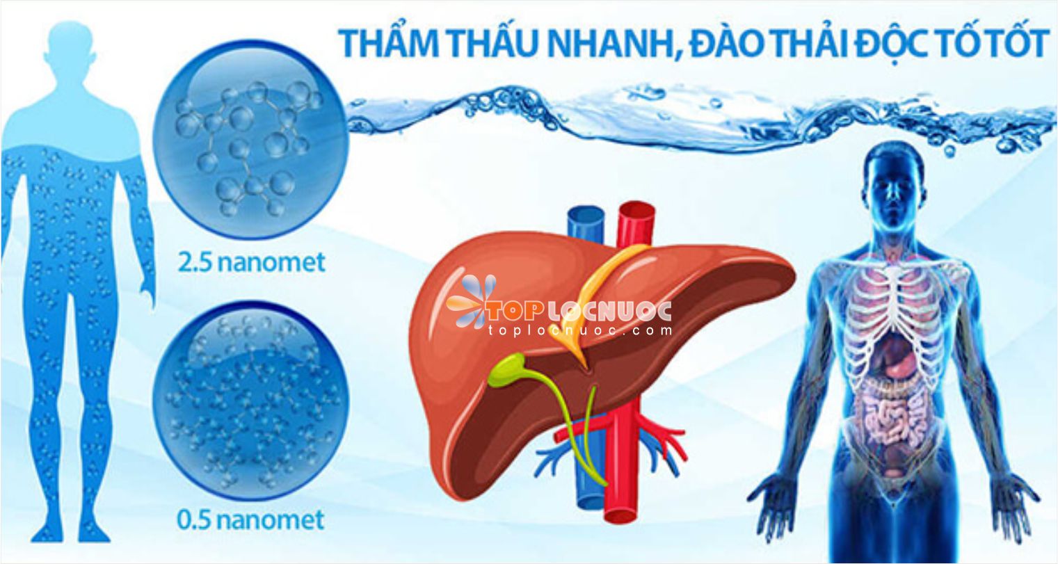 Tại sao nên uống nước kiềm Kangen chống oxy hóa?