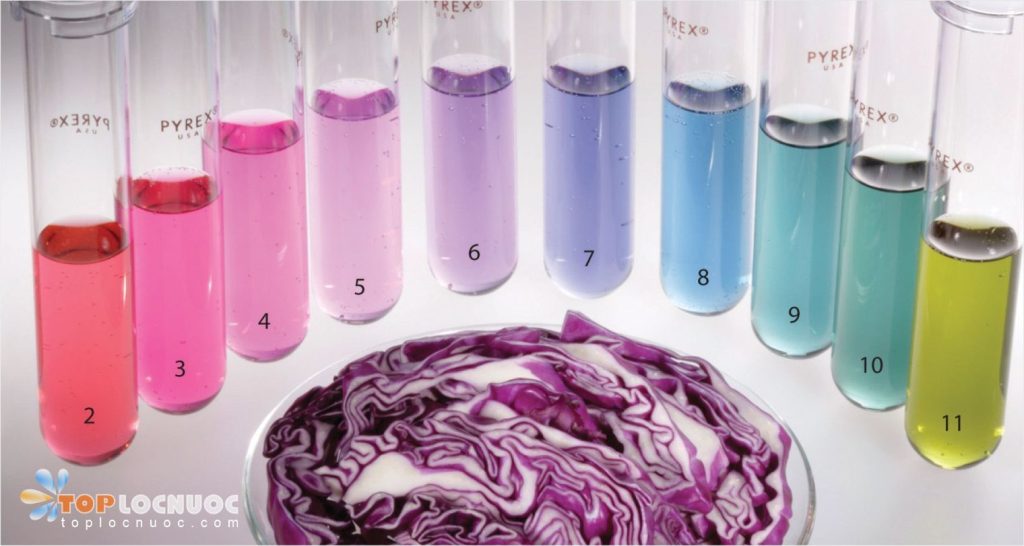 Các loại nước Kangen kiềm và lợi ích với sức khỏe