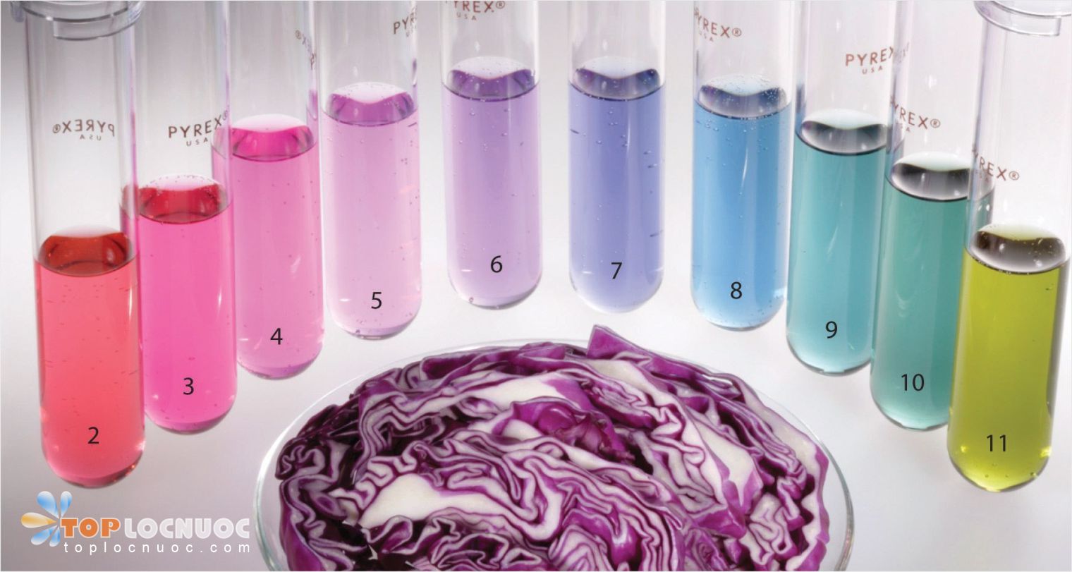 Các loại nước Kangen kiềm và lợi ích với sức khỏe