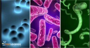 Nguồn nước nhiễm vi sinh vật là gì?