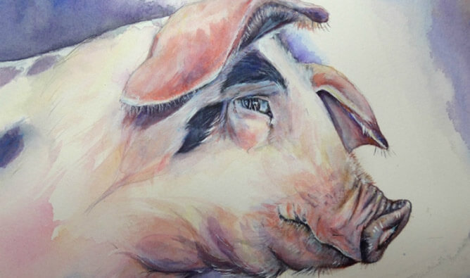 Tuổi hợi Hợp màu gì?