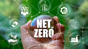 Net Zero: Giải pháp then chốt cho tương lai bền vững