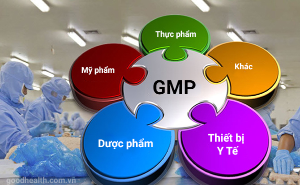Áp dụng GMP trong sản xuất thực phẩm chức năng