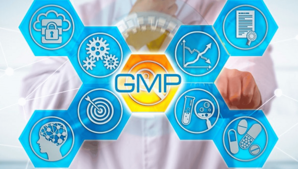 Các bước triển khai GMP chuẩn nhất cho doanh nghiệp