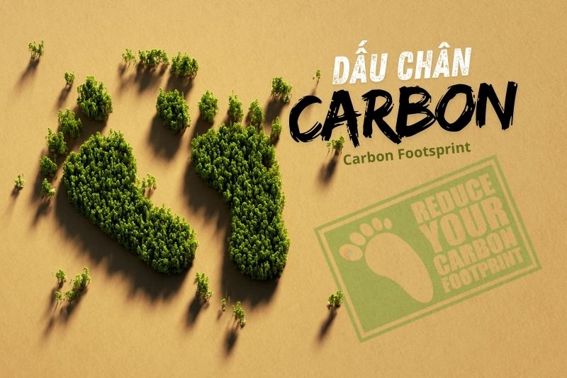 Carbon Footprint Là Gì? 4 Cách Giảm Thiểu Dấu Chân Carbon