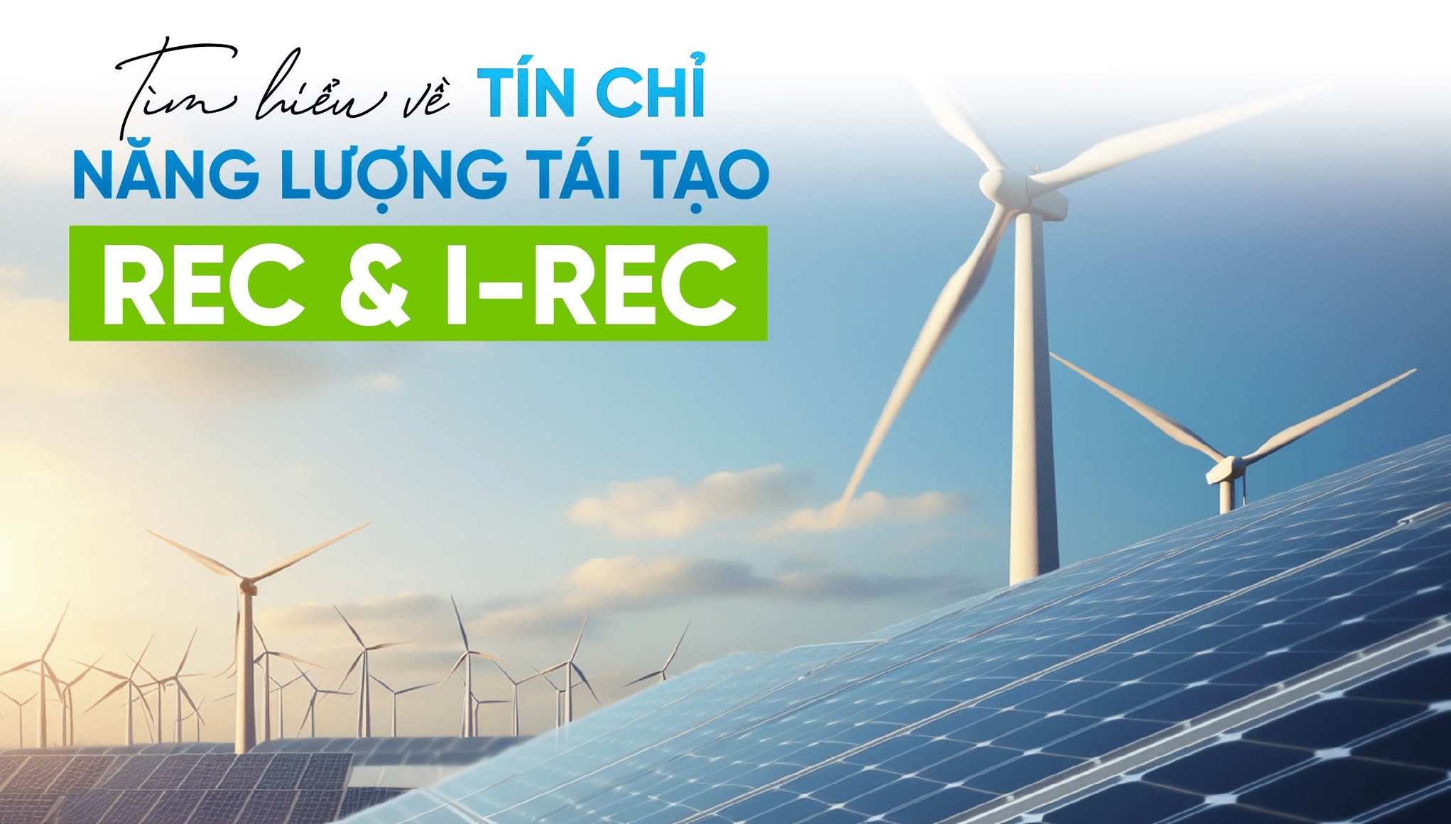 Chứng chỉ năng lượng tái tạo (I-RECs): Tiềm năng cho dự án năng lượng tái tạo