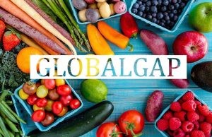 Làm thế nào để được chứng nhận GlobalGAP?