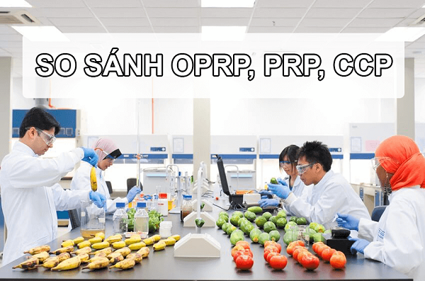 OPRP là gì? Tìm hiểu điểm khác biệt giữa PRP, CCP và OPRP