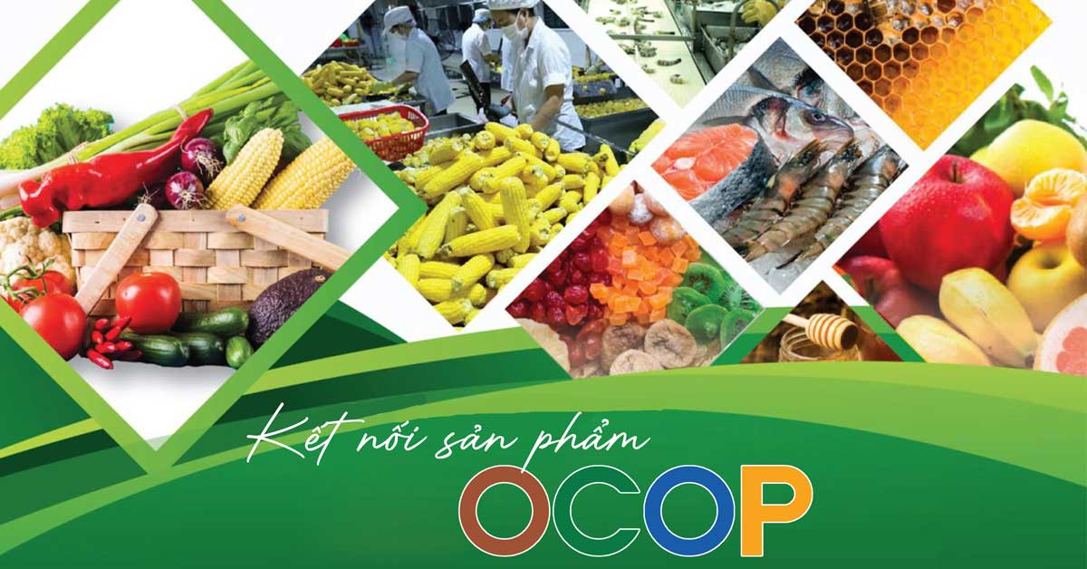 Sản phẩm OCOP là gì? Lợi ích khi tuân thủ tiêu chuẩn OCOP