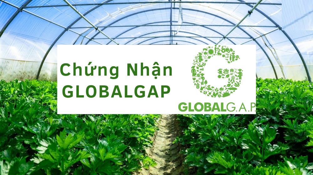 Lợi ích của việc áp dụng GLOBALG.A.P