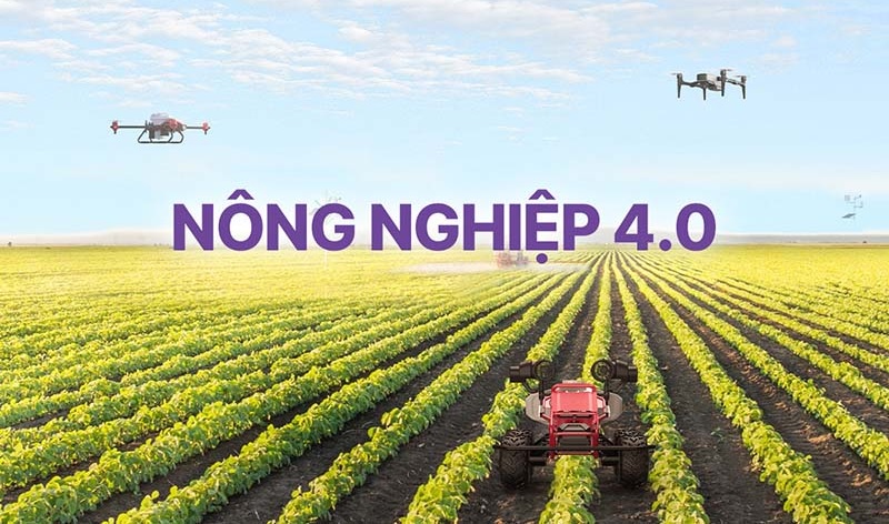 Nông nghiệp thông minh 4.0 mang lại lợi ích gì?