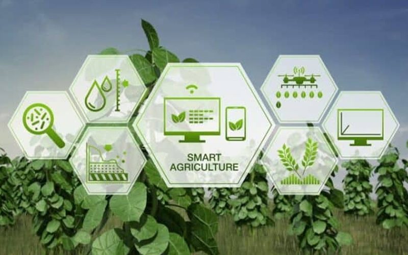 Nông nghiệp thông minh ở Việt Nam: giải pháp hiệu quả