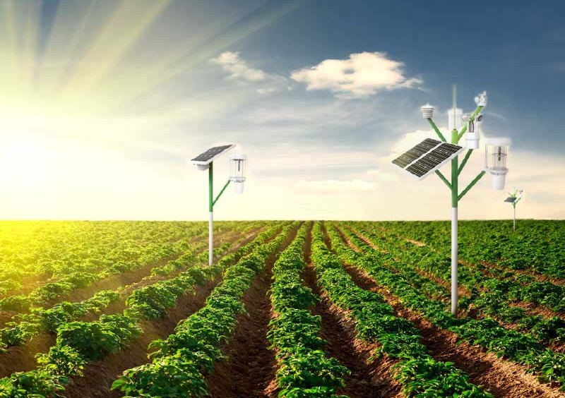 Trang trại 4.0 là gì? Lợi ích & khó khăn khi triển khai là gì?