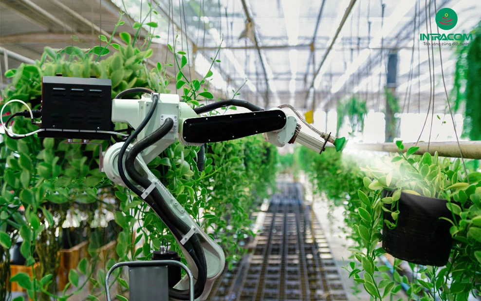 Tìm hiểu những Mô hình nông nghiệp hiện đại trên thế giới