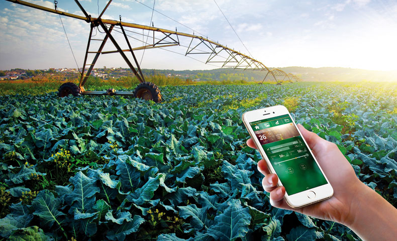 Hiện đại hóa nông nghiệp là gì? Đặc trưng & xu hướng