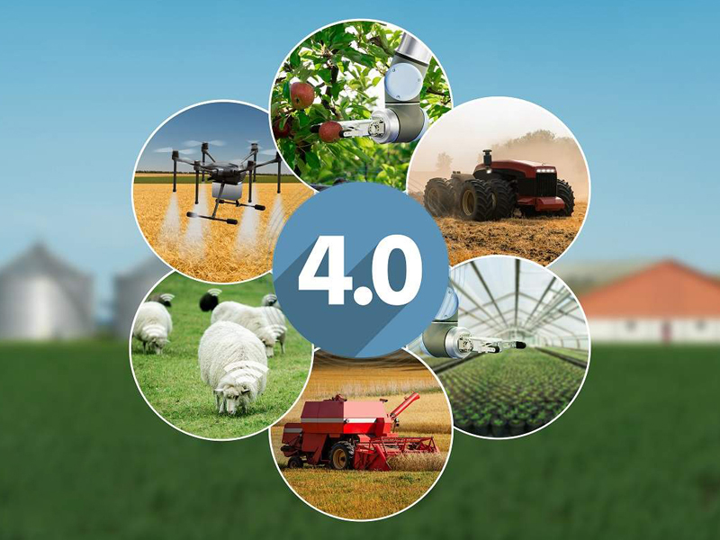 Nông nghiệp 4.0 ở Việt Nam thời điểm hiện tại diễn ra như thế nào?