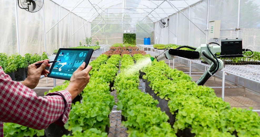 Ngành nông nghiệp công nghệ cao là gì?