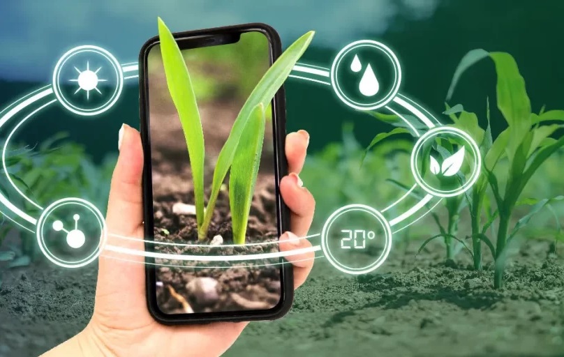 Mô hình nông nghiệp công nghệ cao phổ biến hiện nay