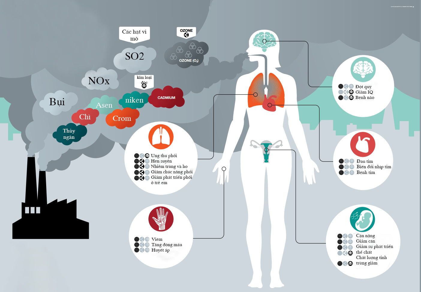 Tác động của ô nhiễm môi trường đối với sức khỏe con người