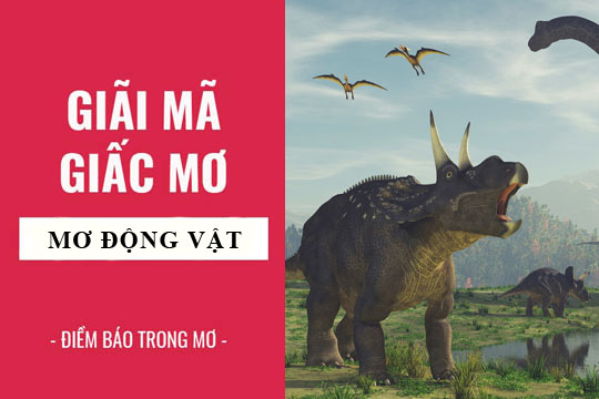 Giải mã giấc mơ thấy động vật chính xác nhất (Phần 2)