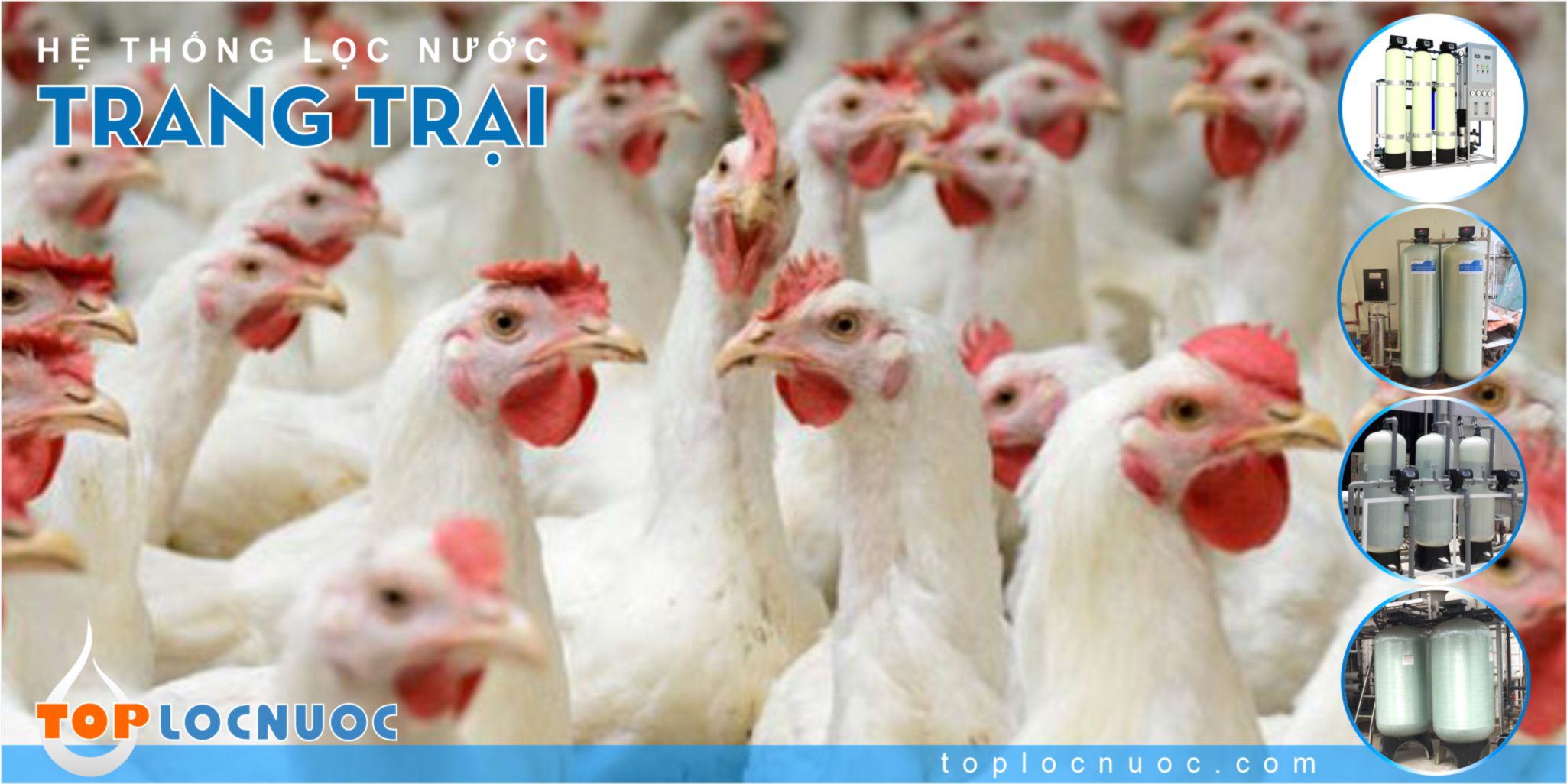 Máy lọc nước công nghiệp cho Trang trại chăn nuôi giá tốt 2024