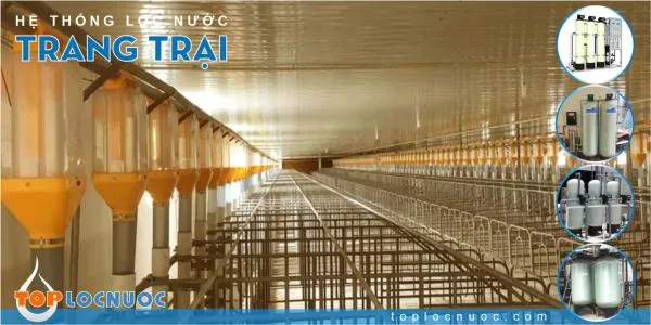 Cách chọn Hệ thống lọc nước công nghiệp xử lý nước trong Chăn nuôi
