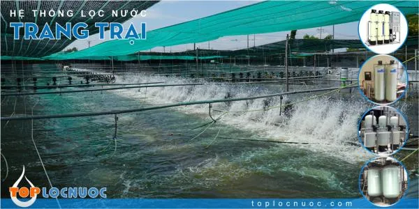 Lọc nước cấp tuần hoàn cho Trang trại nuôi trồng thủy sản