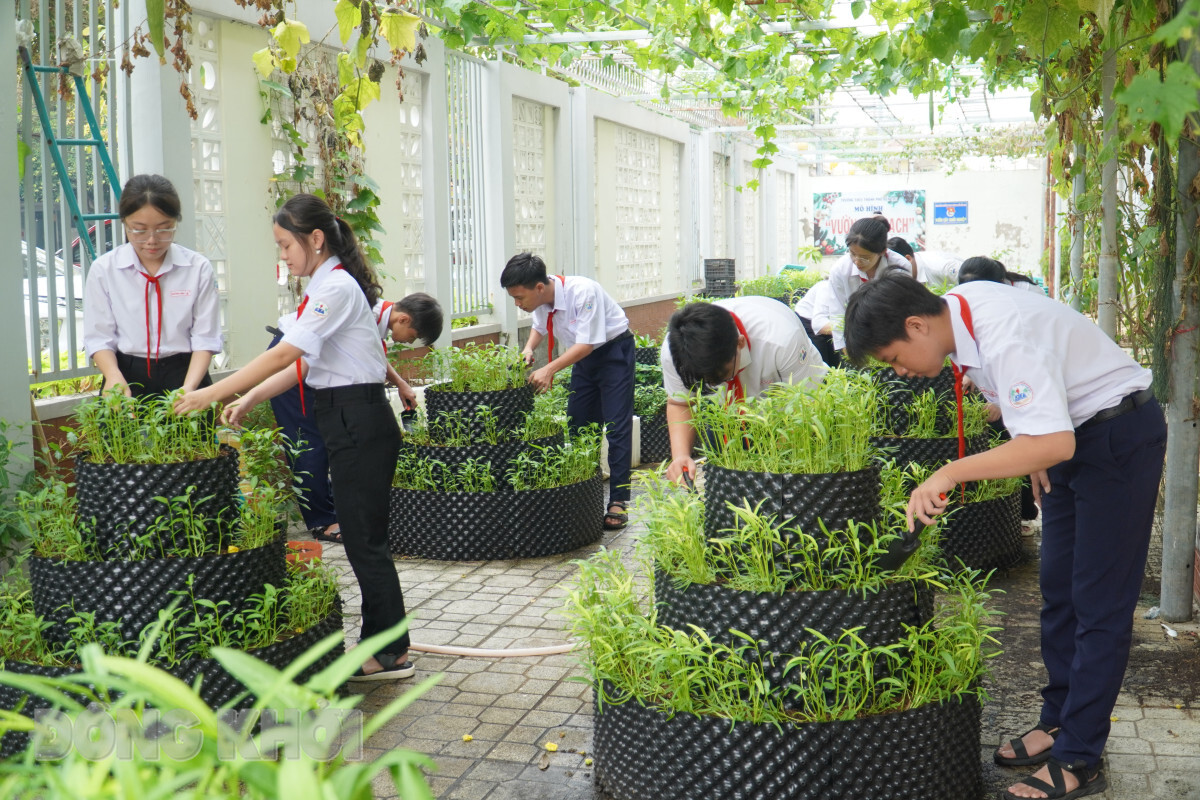 Xây dựng trường học xanh – Mô hình của giáo dục tương lai